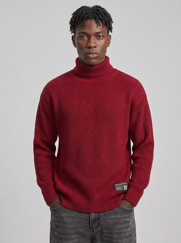 Pull 2.5 Pull col roulé