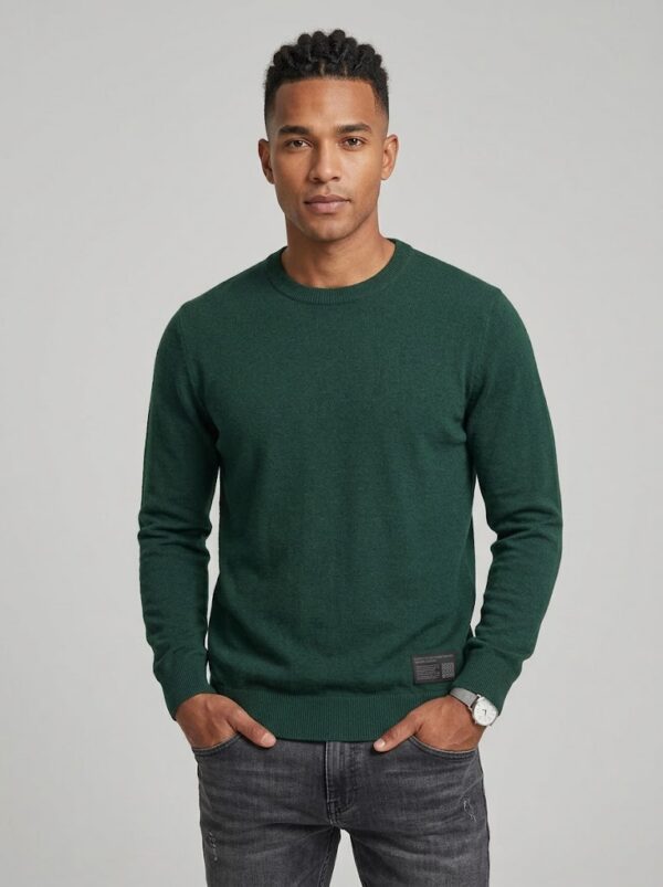 Pull col rond